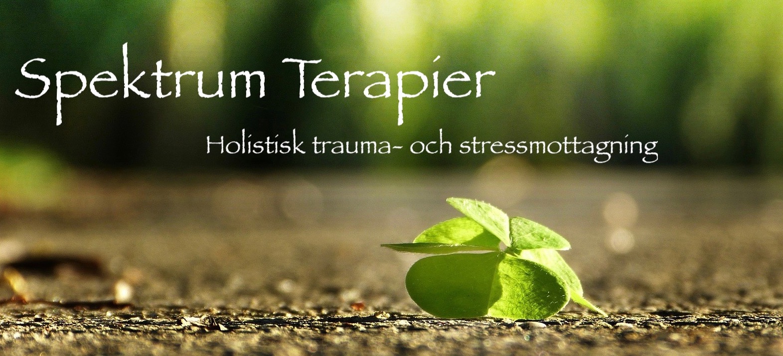 Spektrum Terapier