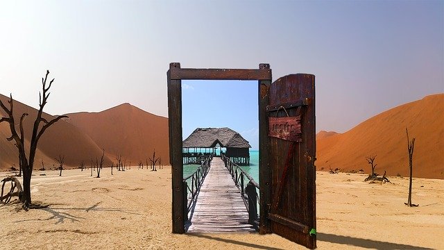 oasis